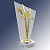 Акриловая награда Звезда (размер: 22 цвет: прозрачный/золото)