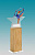 Акриловая награда Гимнастика (размер: 5х26х4 цвет: прозрачный)