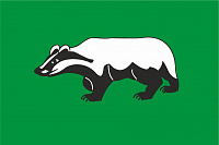 Флаг Шенкурского района