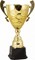 Кубок 2010