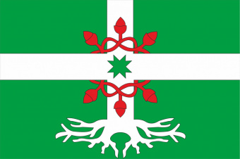 Флаг Ширтанского сельского поселения