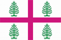 Флаг Судиславского района