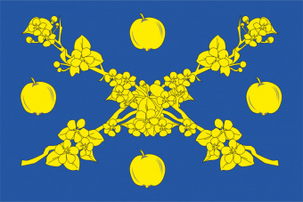 Флаг Вятскополянского района
