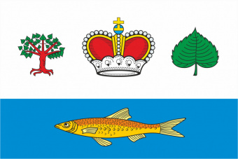 Флаг Вашкинского района