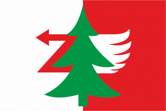 Флаг муниципального района Печора