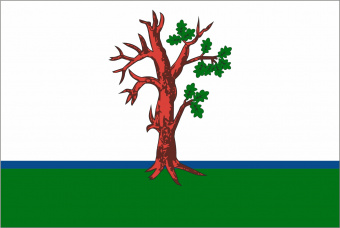 893 Флаг города Стародуб.jpg