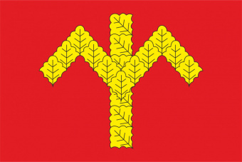 Флаг Кошноруйского сельского поселения