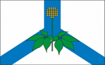Флаг Дальнереченского района 