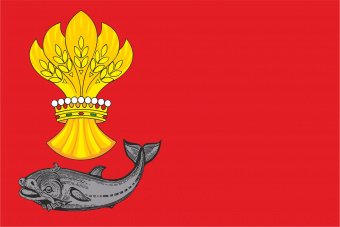 938 Флаг Панинского района.jpg