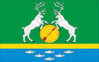 Флаг Тугуро-Чумиканского района
