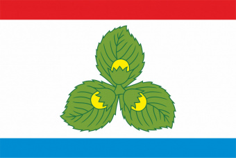 Флаг г. Краснознаменск (Калининградская область)