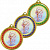 Медаль художественная гимнастика (размер: 55 цвет: золото/красный)