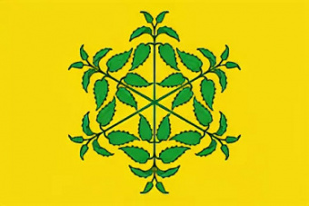 Флаг МО Крапивенское