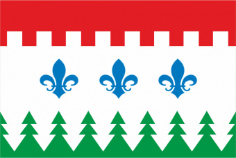 Флаг Савинского сельского поселения