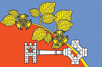 Флаг Виллозского городского поселения 