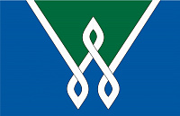 Флаг Винзилинского МО