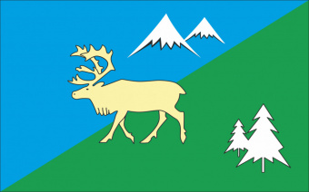 Флаг Быстринского района