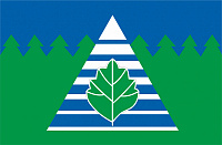 Флаг городского округа Троицк
