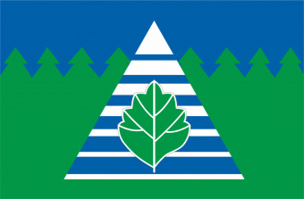 Флаг городского округа Троицк