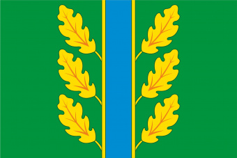 876 Флаг Дубровского района.jpg
