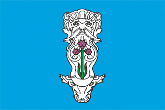 Флаг сельского поселения Бичуринское