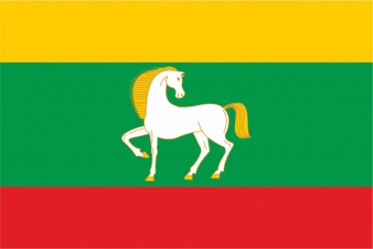 Флаг Баймакского района