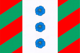 Флаг Палкинского района 
