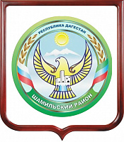 Герб Шамильского района 