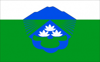 Флаг Вяземского района