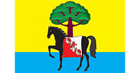 Флаг Моршанского района