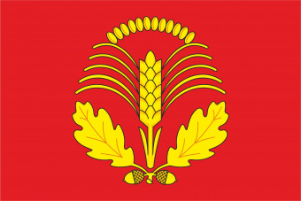 926 Флаг Грибановского района.jpg