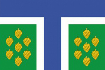 Флаг Тевризского района