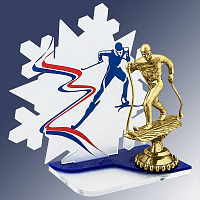 1737 Акриловая награда Лыжный спорт