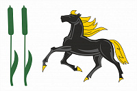 Флаг Камышлинского района