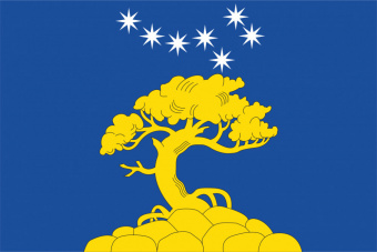 Флаг Пяозерского городского поселения