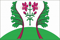 Флаг сельского поселения Казановское