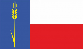 881 Флаг Клинцовского района.jpg