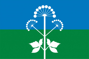 Флаг Бикбардинского сельского поселения