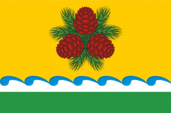 Флаг Чойского района